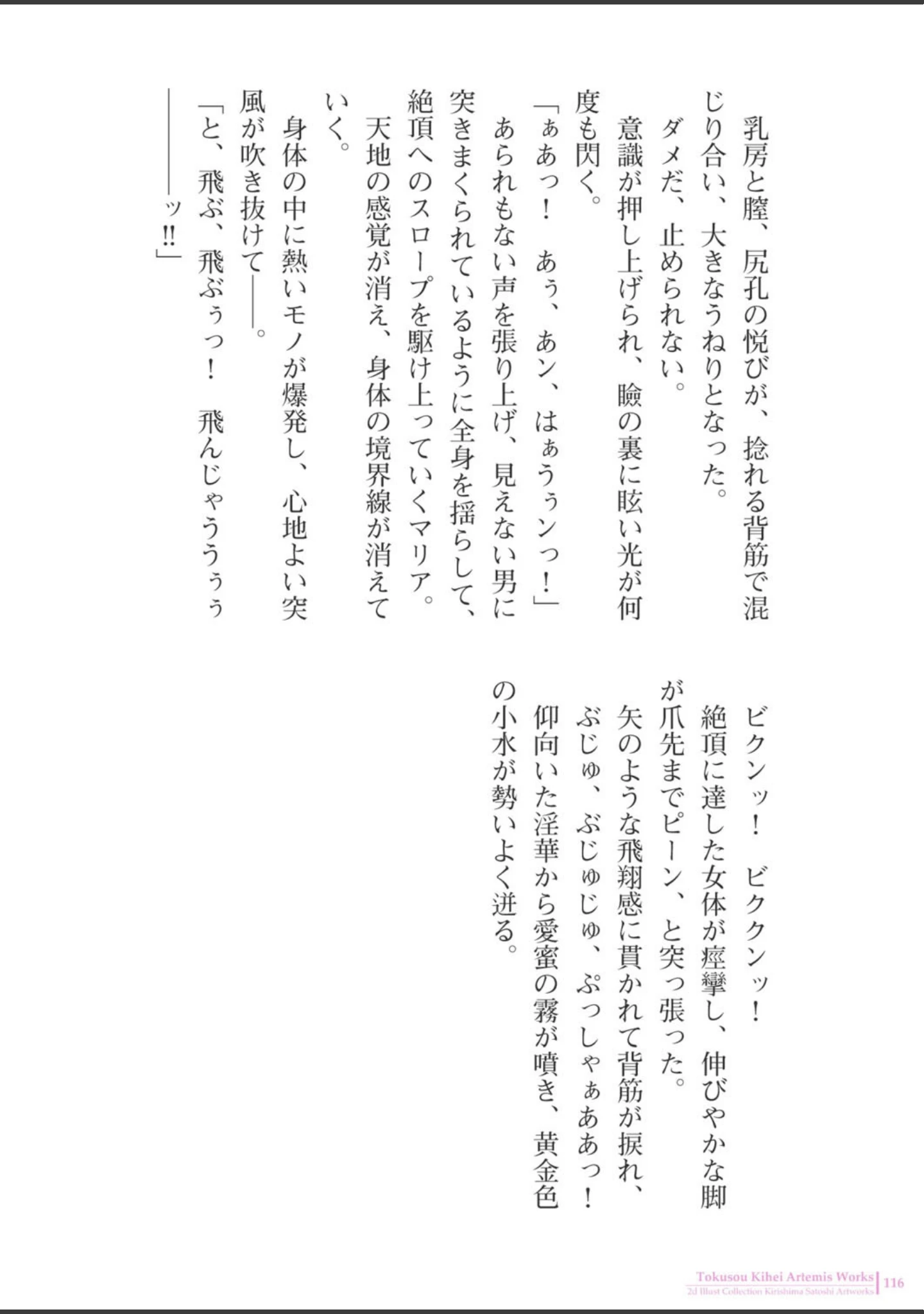「桐島サトシアートワークス」（桐島サトシ） 試し読み 19ページ目
