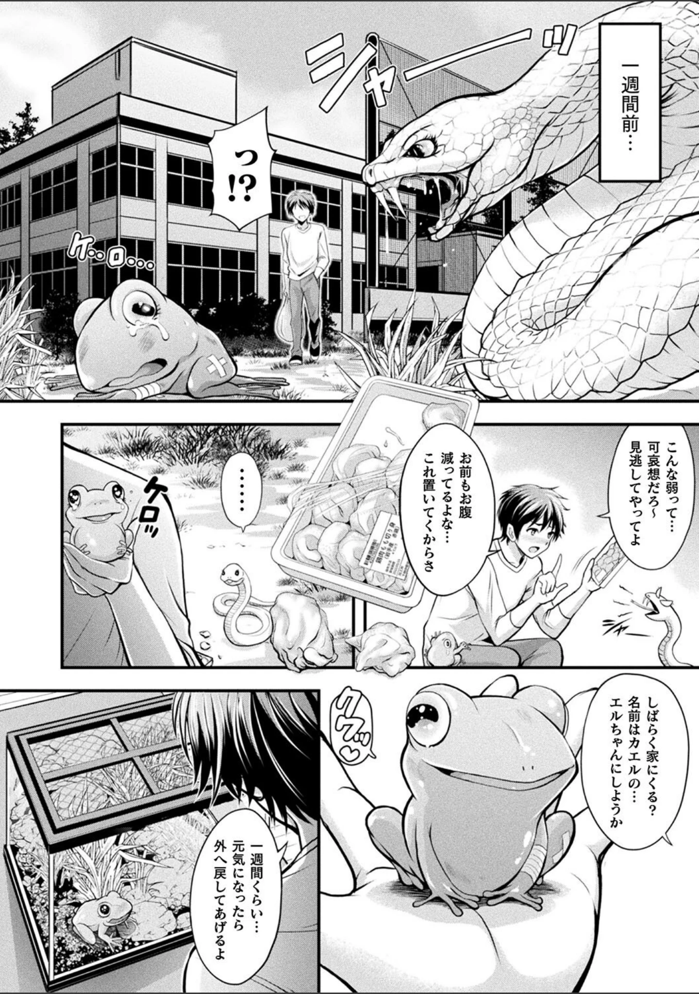 「魔界娘淫蕩譚」（伊藤屋） 試し読み 12ページ目