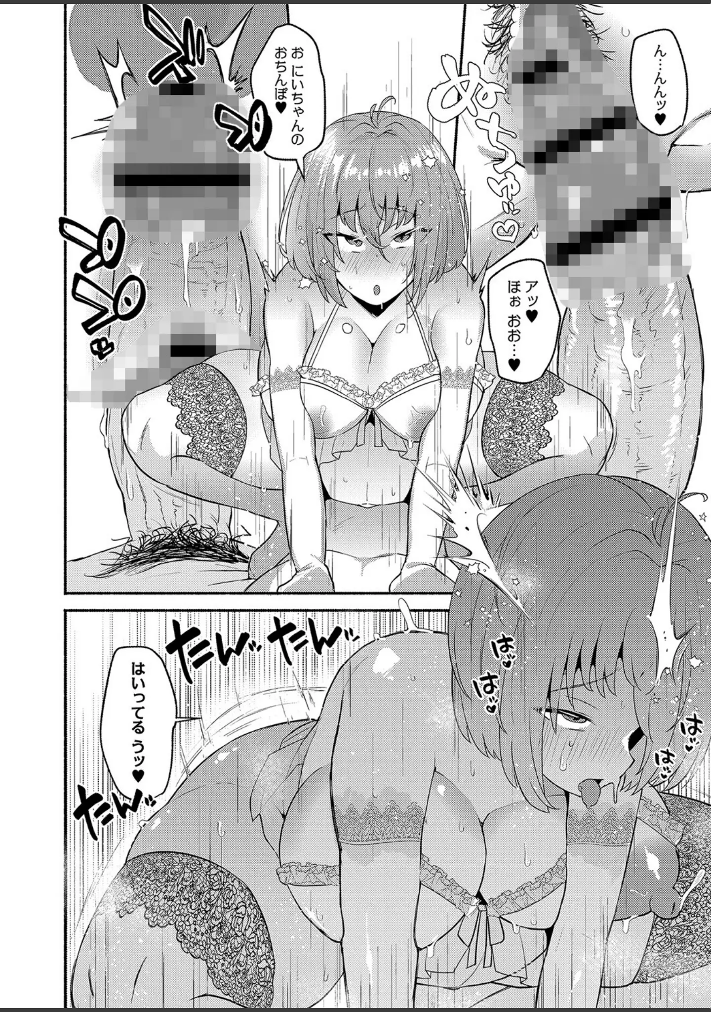 「大丈夫。実妹の攻略本だよ。 FANZA特装版」（スタンダードアザラシ） 試し読み 17ページ目