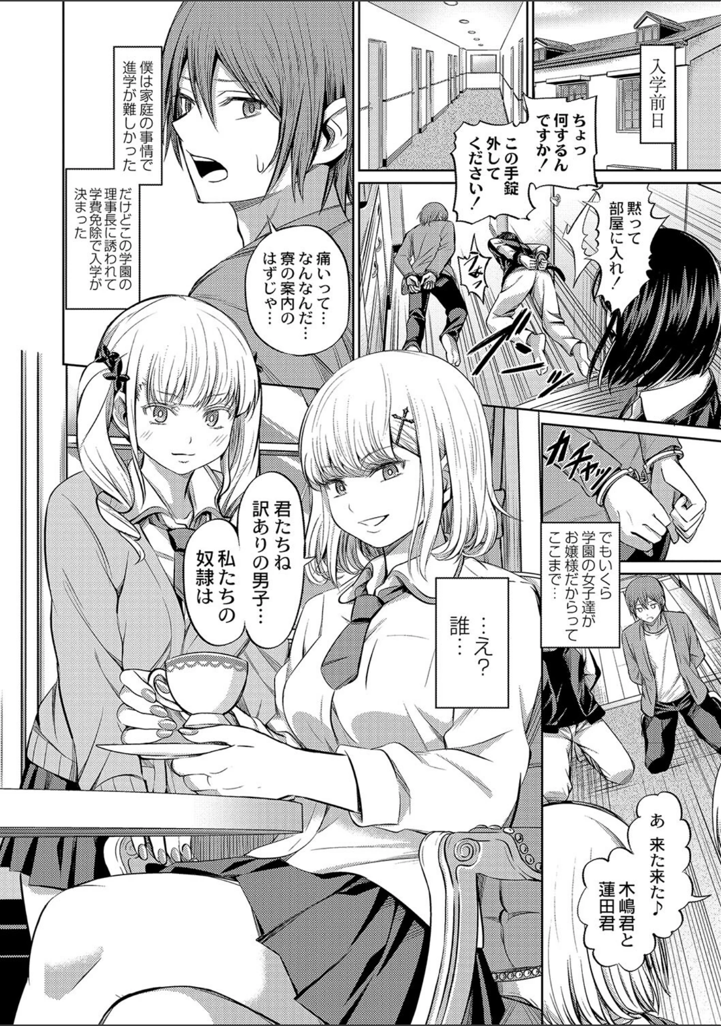 「ざ・ふぃめーる・どみねーしょん【デジタル特装版】」（山畑璃杏） 試し読み 5ページ目