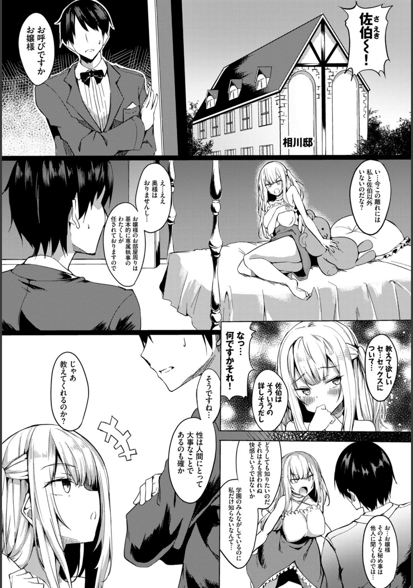 「高貴なお嬢様は膣内射精がお好きっ vol.3 高貴なお嬢様を孕まSEXアンソロジー」（サブロー） 試し読み 12ページ目