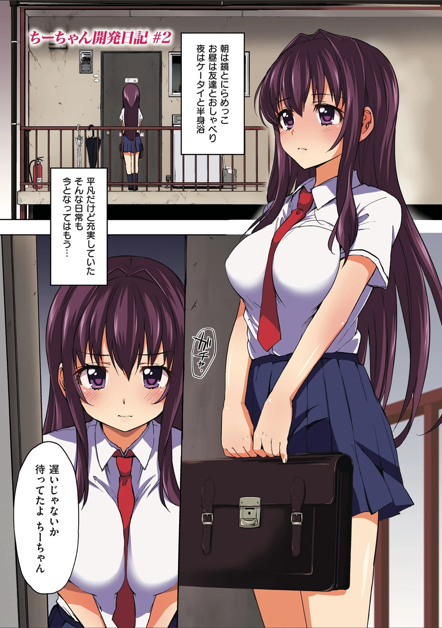 「ちーちゃん開発日記【デジタル特装版】」（むちゃ） 試し読み 12ページ目