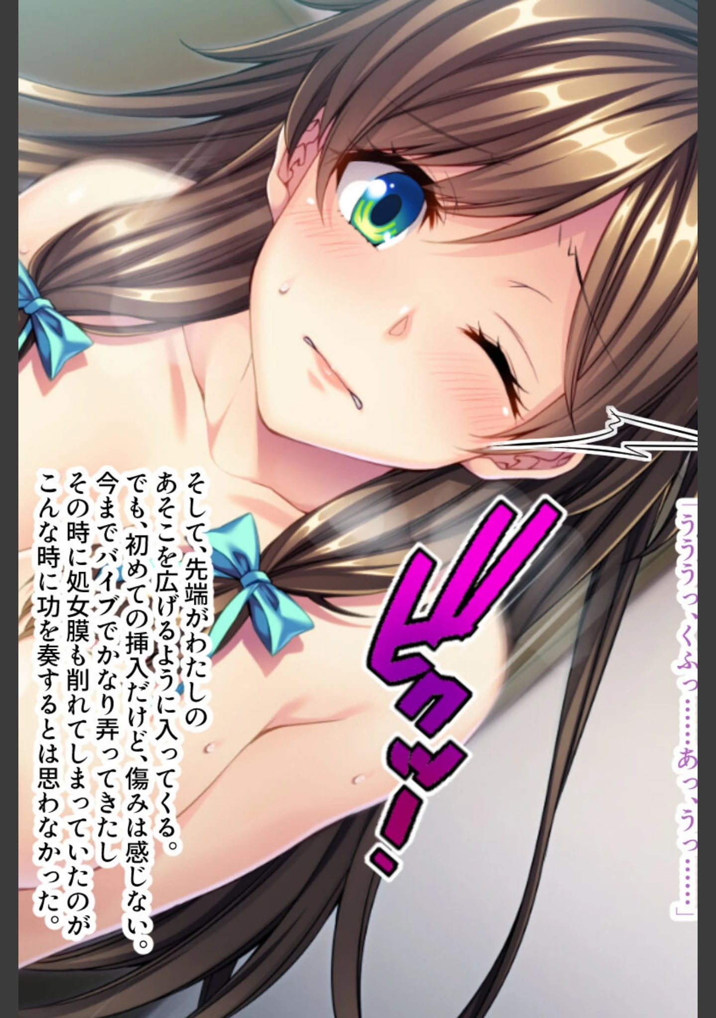 「お姉ちゃんにはできなかったこと、ヤらせてあげる☆ 〜妄執の双子丼〜」（大人のSEXY絵本） 試し読み 15ページ目