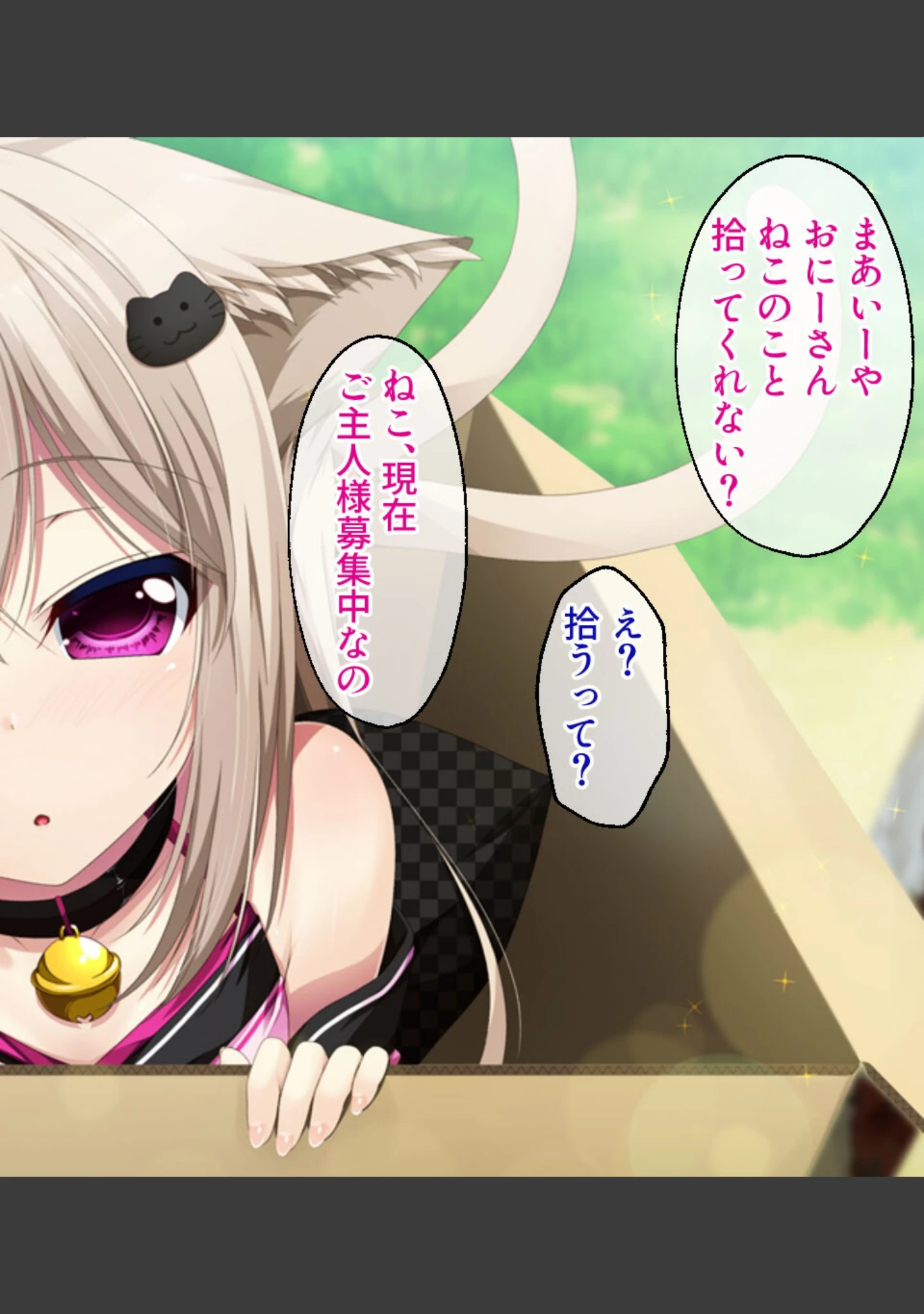 「けも耳っ娘とモフモフえっち 〜田舎でいちゃらぶスローライフ〜【CG集コレクション】」（大人のSEXY絵本） 試し読み 9ページ目