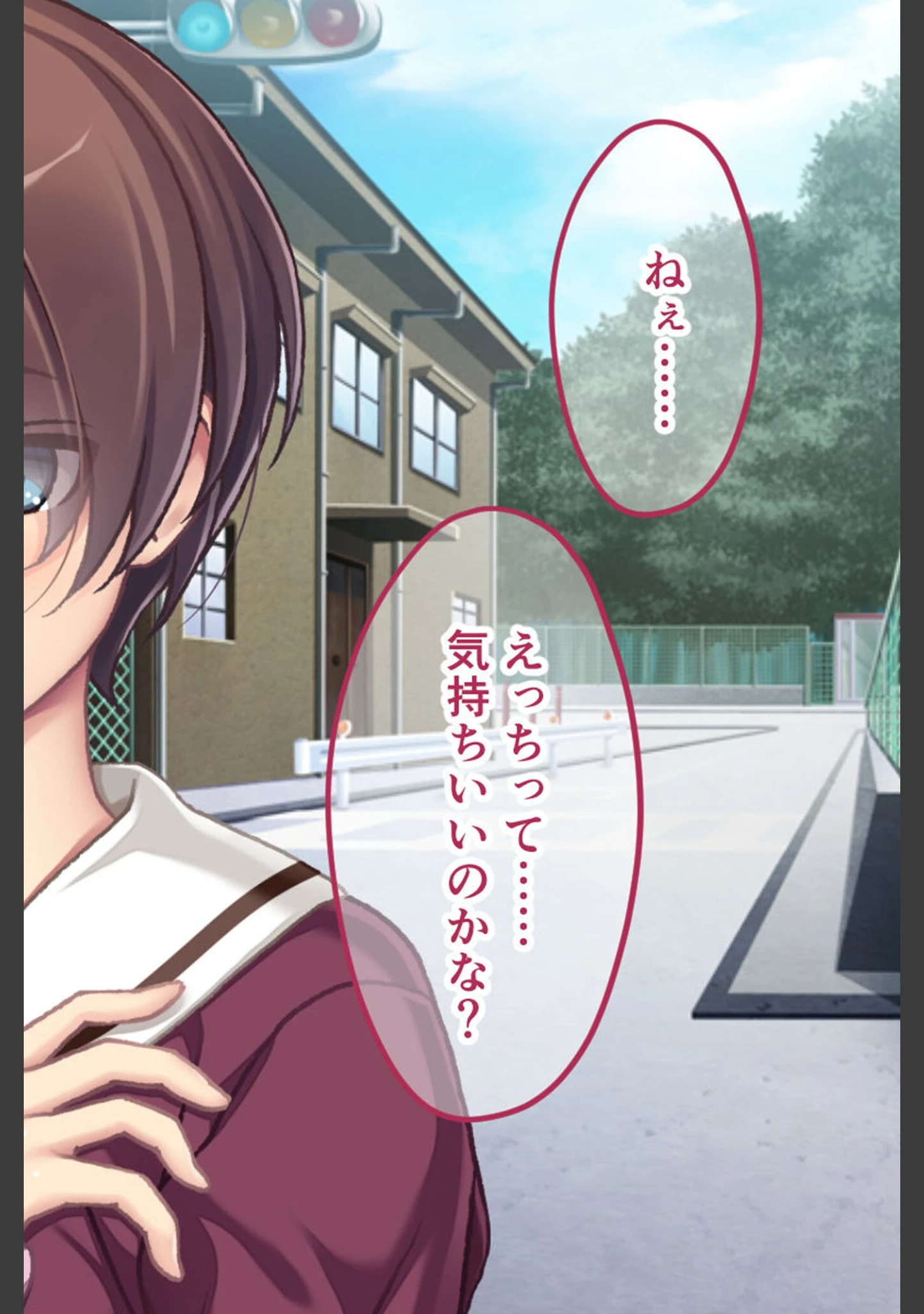 「幼なじみがハード緊縛SMにハマるまで 〜変態カップルのブッ飛び興奮絶頂！！〜 モザイク版」（大人のSEXY絵本） 試し読み 12ページ目
