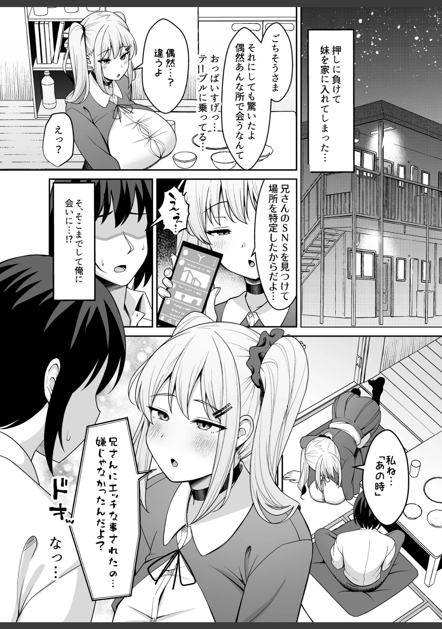 「兄ラブ高湿度長乳妹に迫られて孕ませちゃう話【電子版】」（ねこじまさき） 試し読み 6ページ目